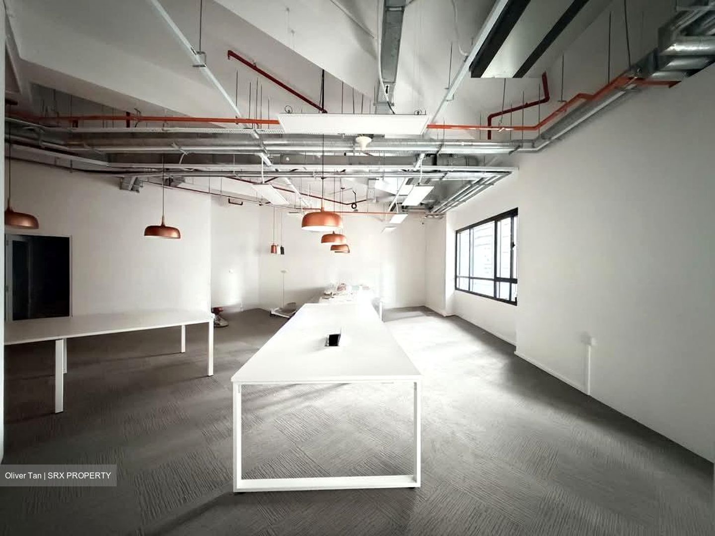 PLUS (D1), Office #540855811